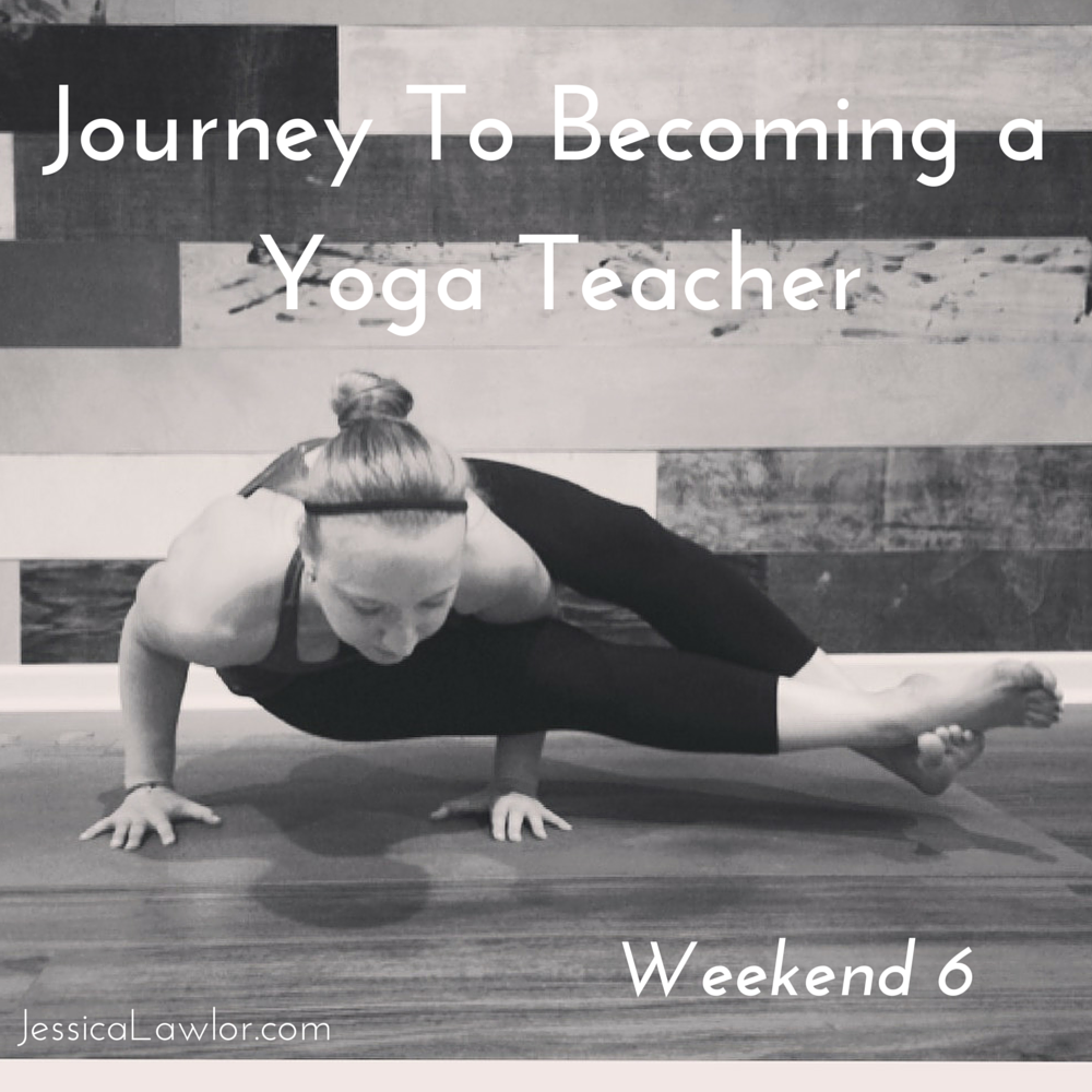 yoga teacher journey